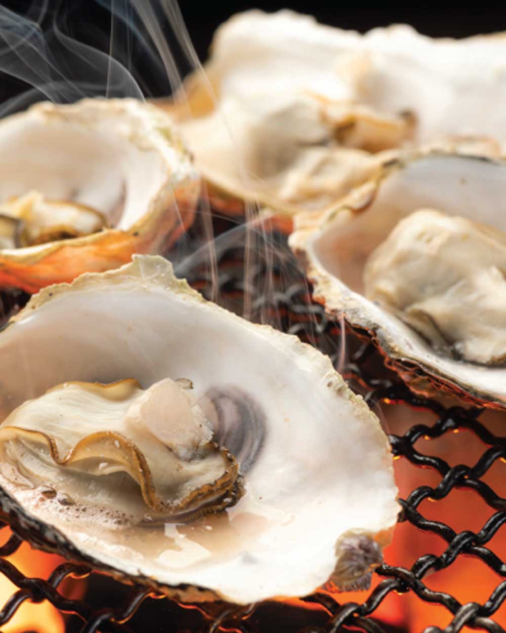 Love Local Oysters